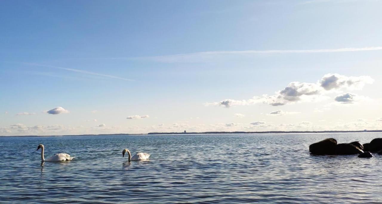 Ferienwohnung ZUM WOHLFÜHLEN FÜR 4 ERWACHSENE +1 Kind, Schwimmbad vor der Tür Tiere erlaubt Sierksdorf Exterior foto