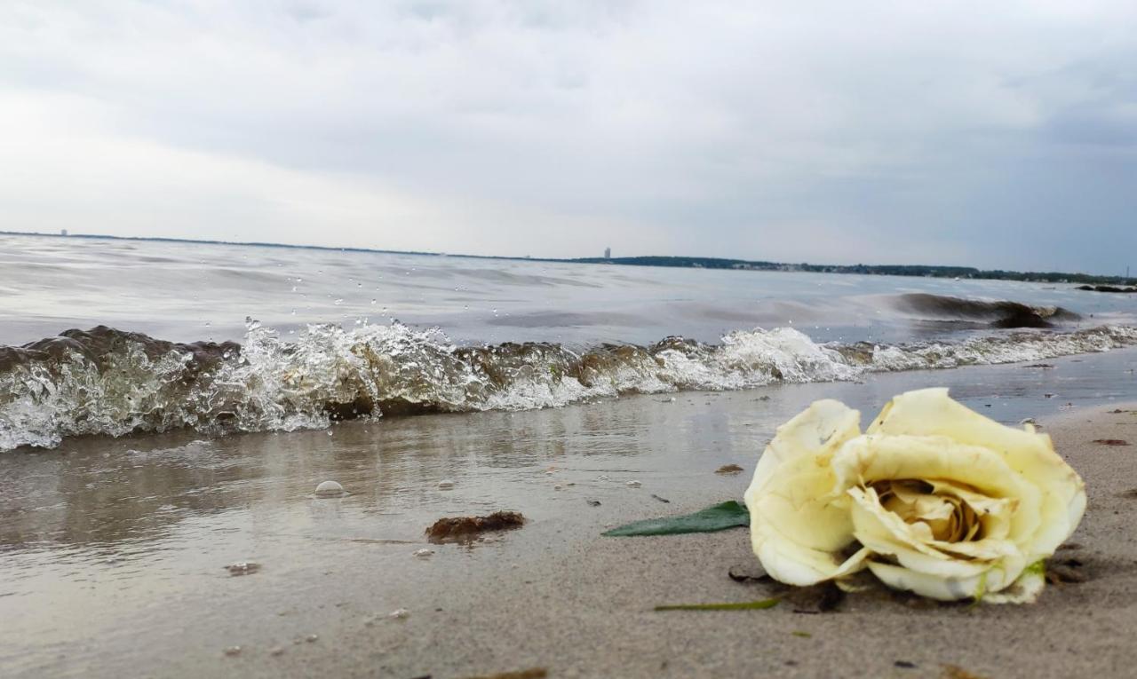 Ferienwohnung ZUM WOHLFÜHLEN FÜR 4 ERWACHSENE +1 Kind, Schwimmbad vor der Tür Tiere erlaubt Sierksdorf Exterior foto